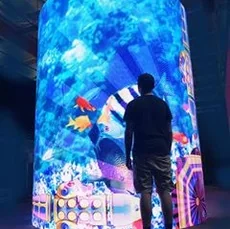 LED-экран цилиндрической формы, высота 2500мм, диаметр 1500мм, длина окружности 4710мм, шаг пикселя 4мм, площадь 1,2м2, уличная яркость 4500кд