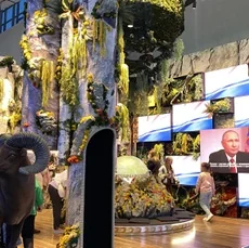 LED-экран для выставочного стенда для ВДНХ